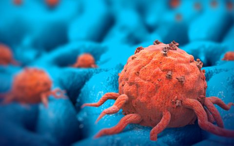 Cancer Cells Engineered to Fight Their Own Kind